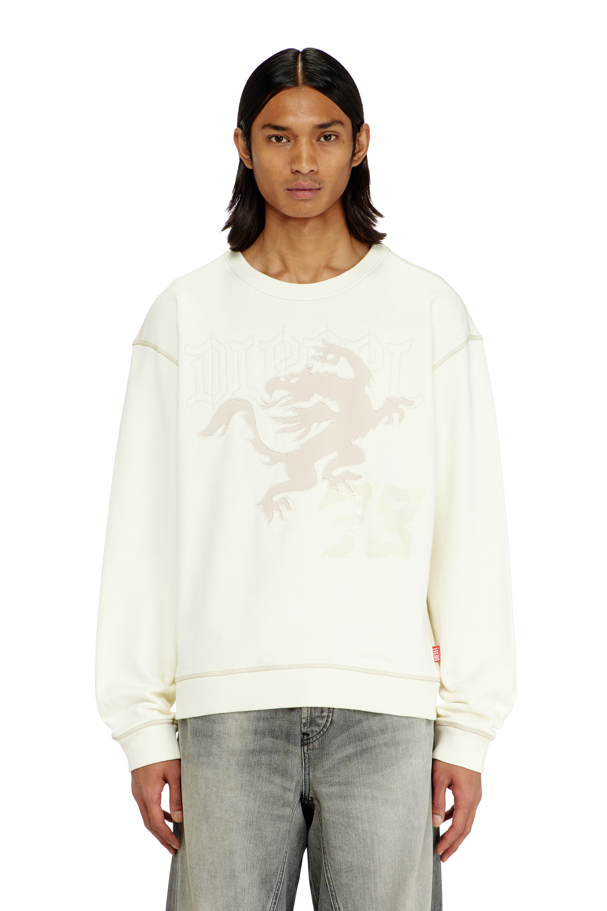 Diesel - S-NORM-AA3, Man's Sweatshirt with embroidery and print in White - 3