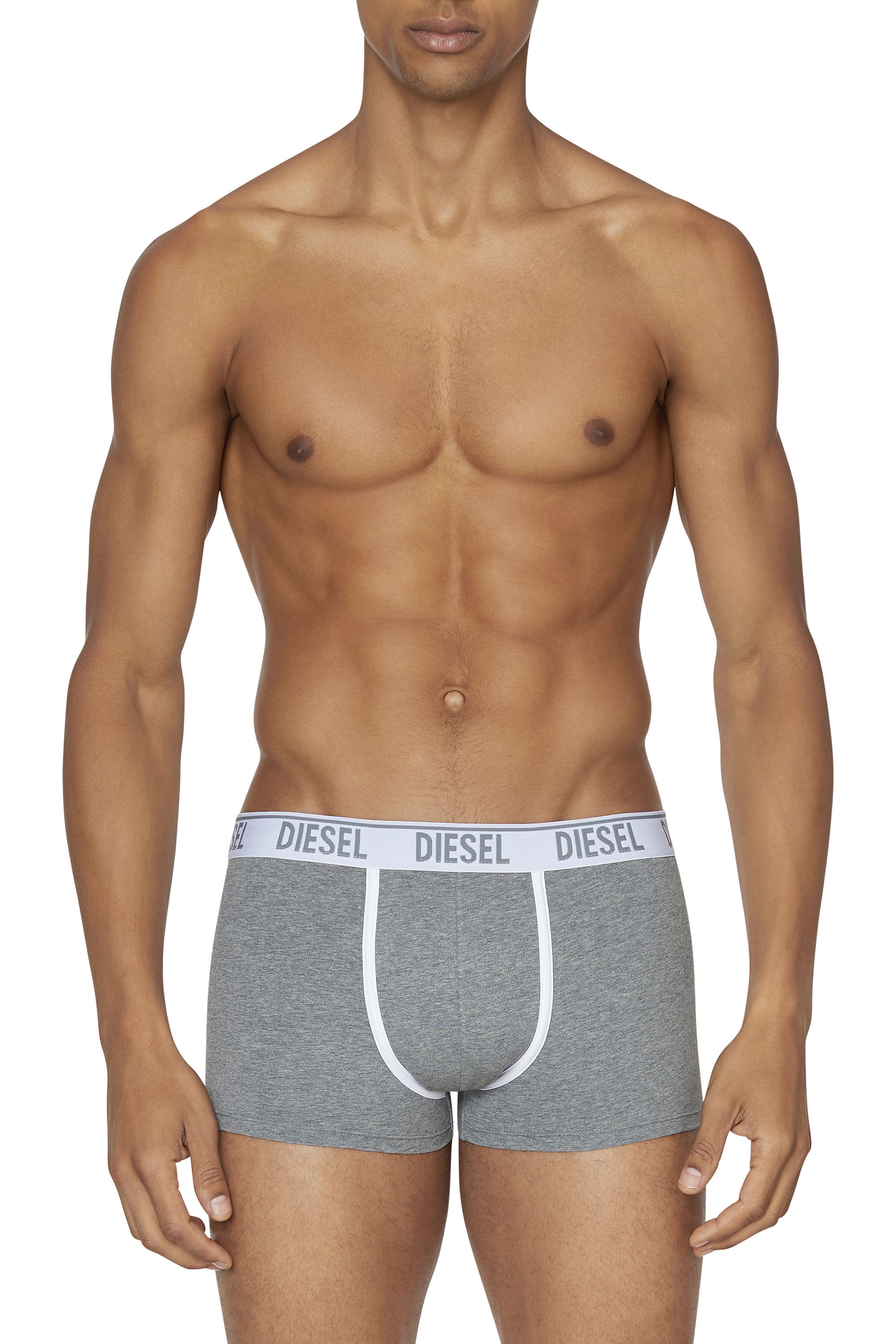 Diesel Two-pack Of Boxer Briefs With Logo Waist In Gray