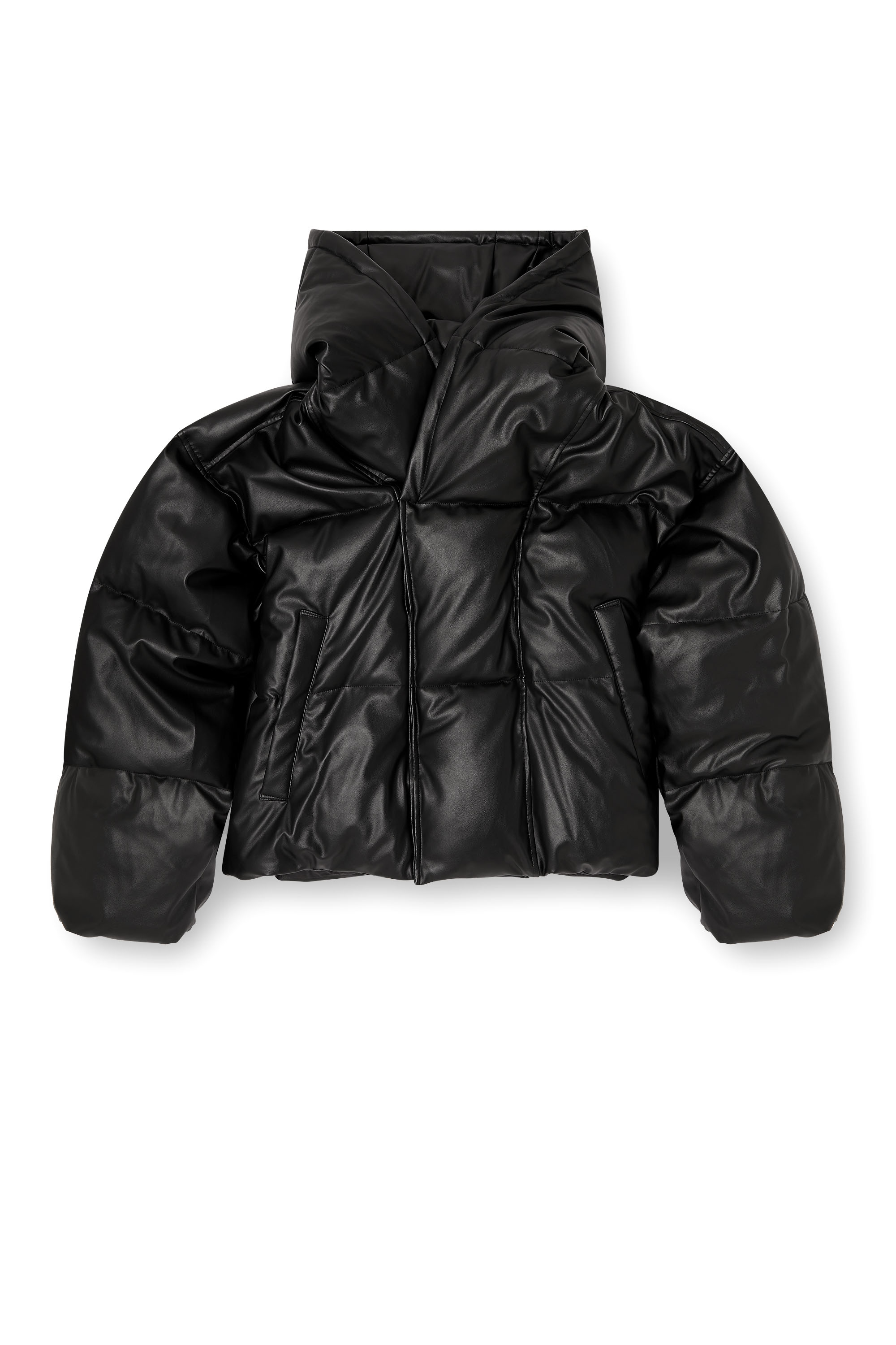 Diesel - W-MYLEY, Man's Hooded puffer jacket in coated fabric in Black - 3