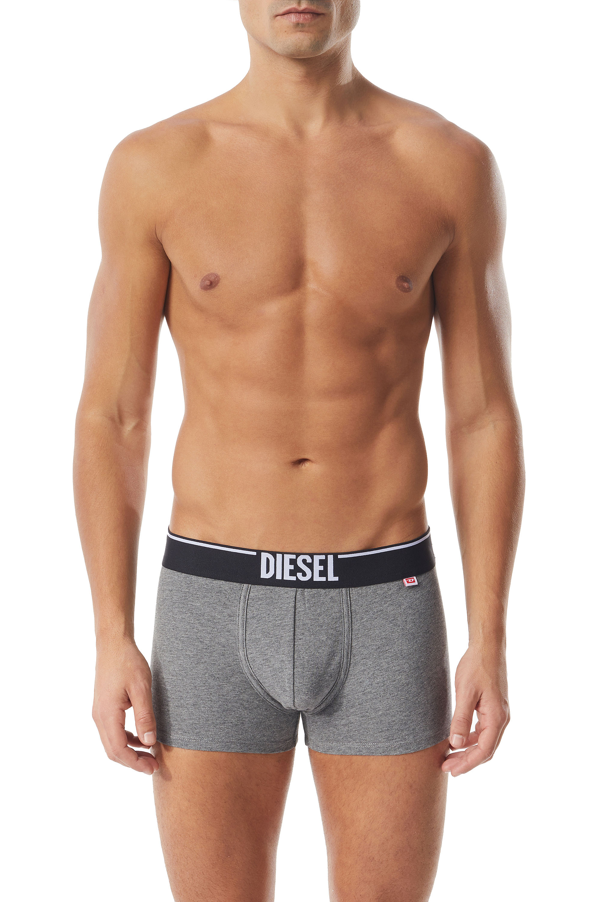 Diesel Two-pack Of Boxer Briefs With D Tag In Multicolor