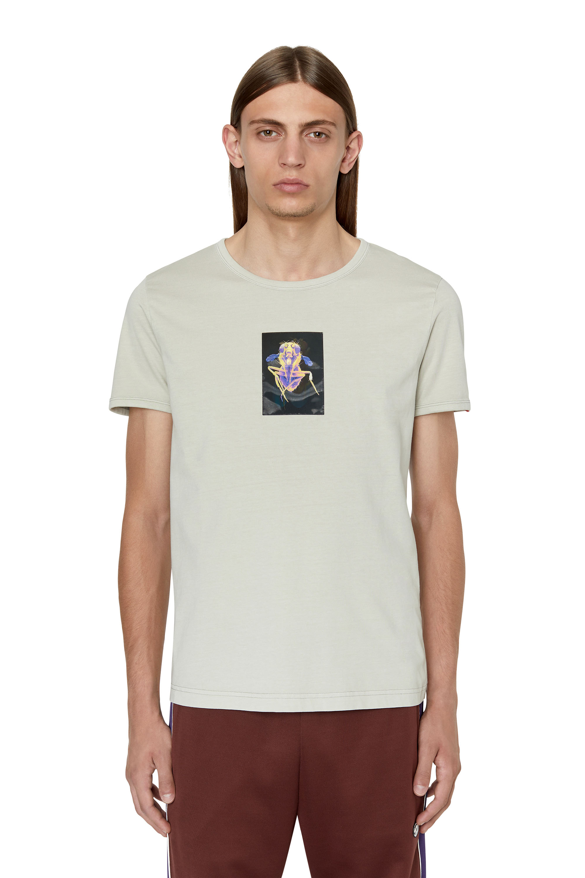 Diesel - T-shirt con applicazione mosca lenticolare - T-Shirts - Uomo - Grigio