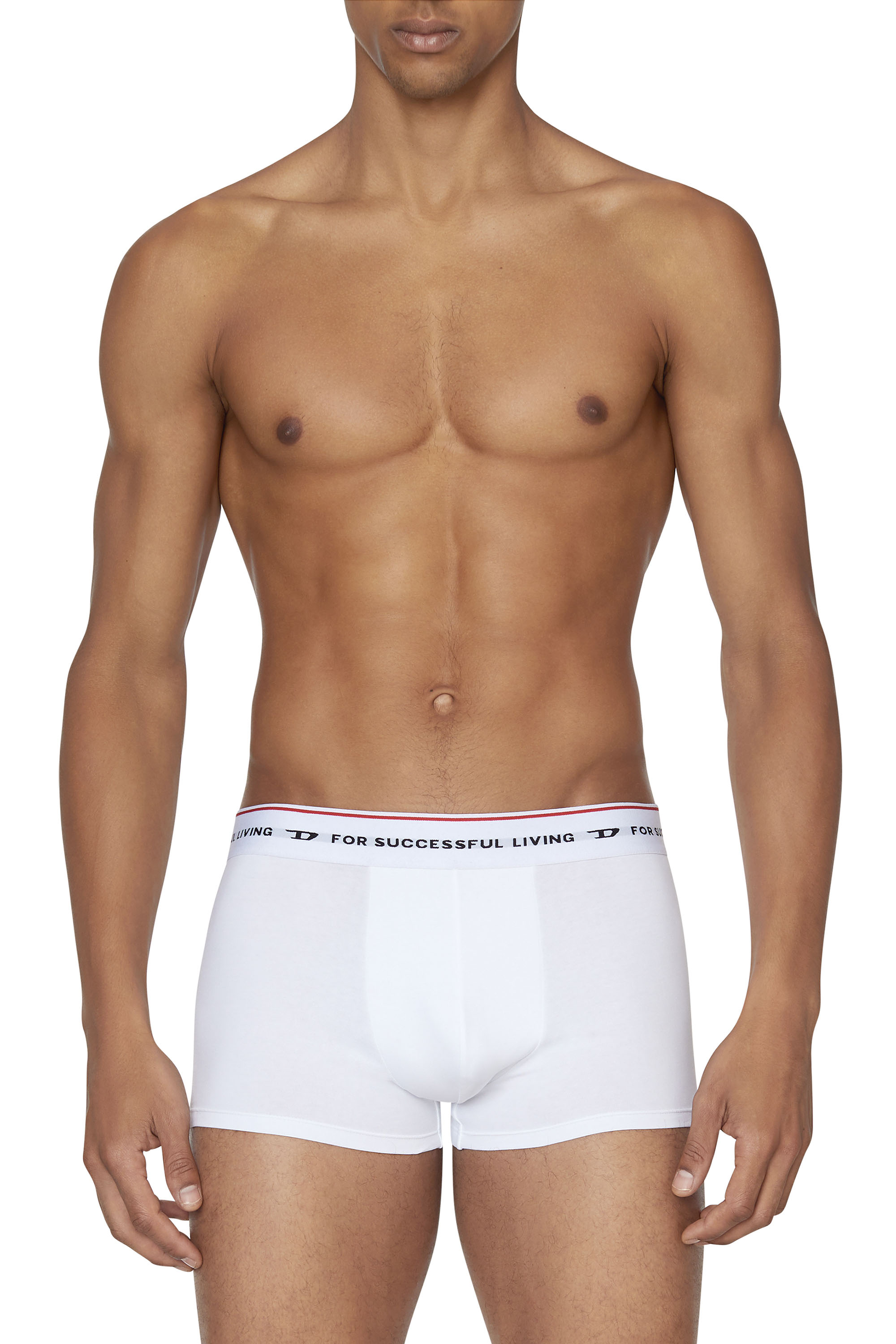 Diesel Three-pack Of Boxer Briefs With Logo Waist In Multicolor