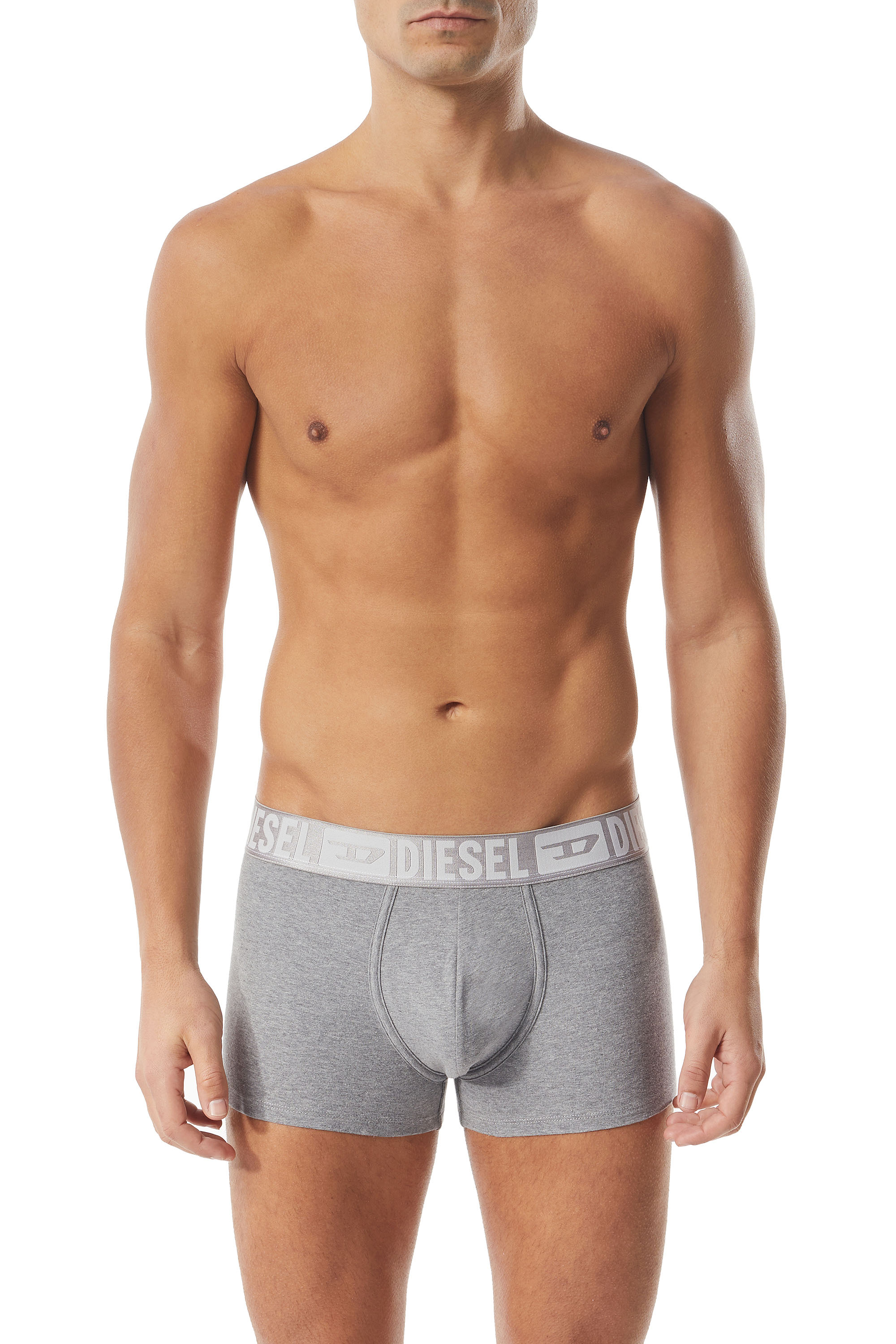 Diesel Set Di Due Boxer Lunghi Con Elastico In Vita Argentato In Gray