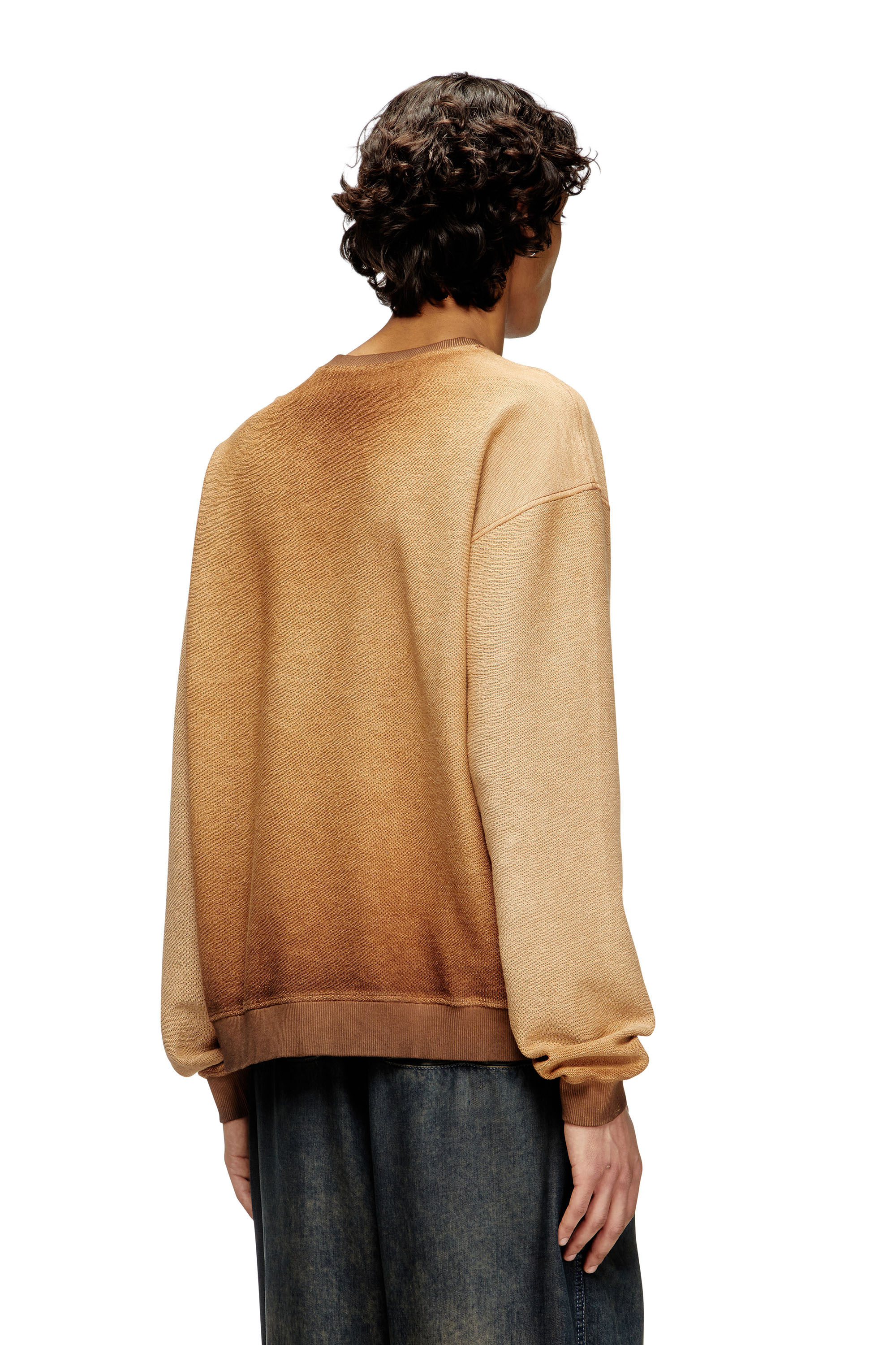 Diesel - S-ARON, Man's Faded sweatshirt with devor&eacute; Phoenix logo in Brown - 4