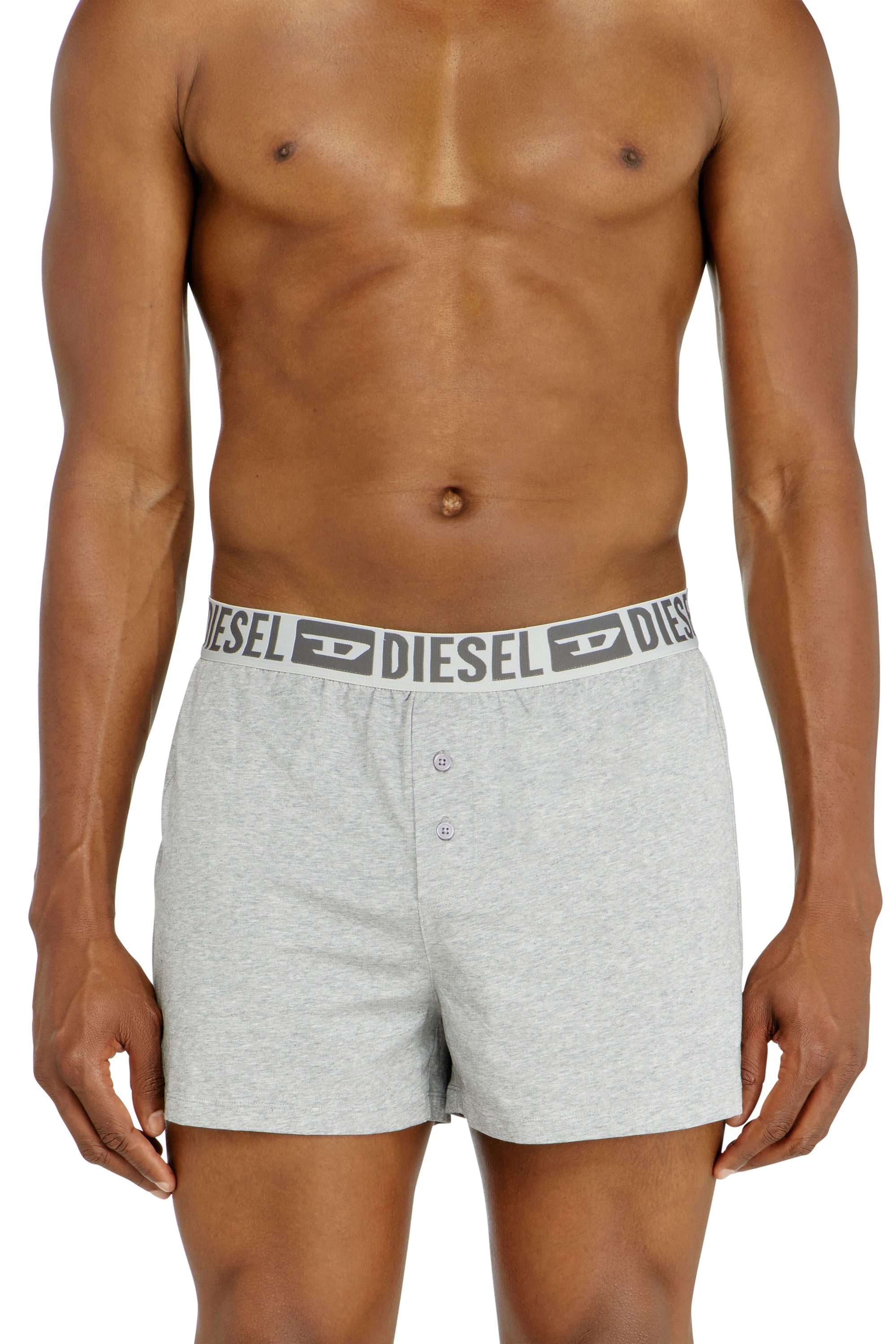Diesel - Two-pack boxer shorts in stretch cotton - Boxer briefs - Man - Grey