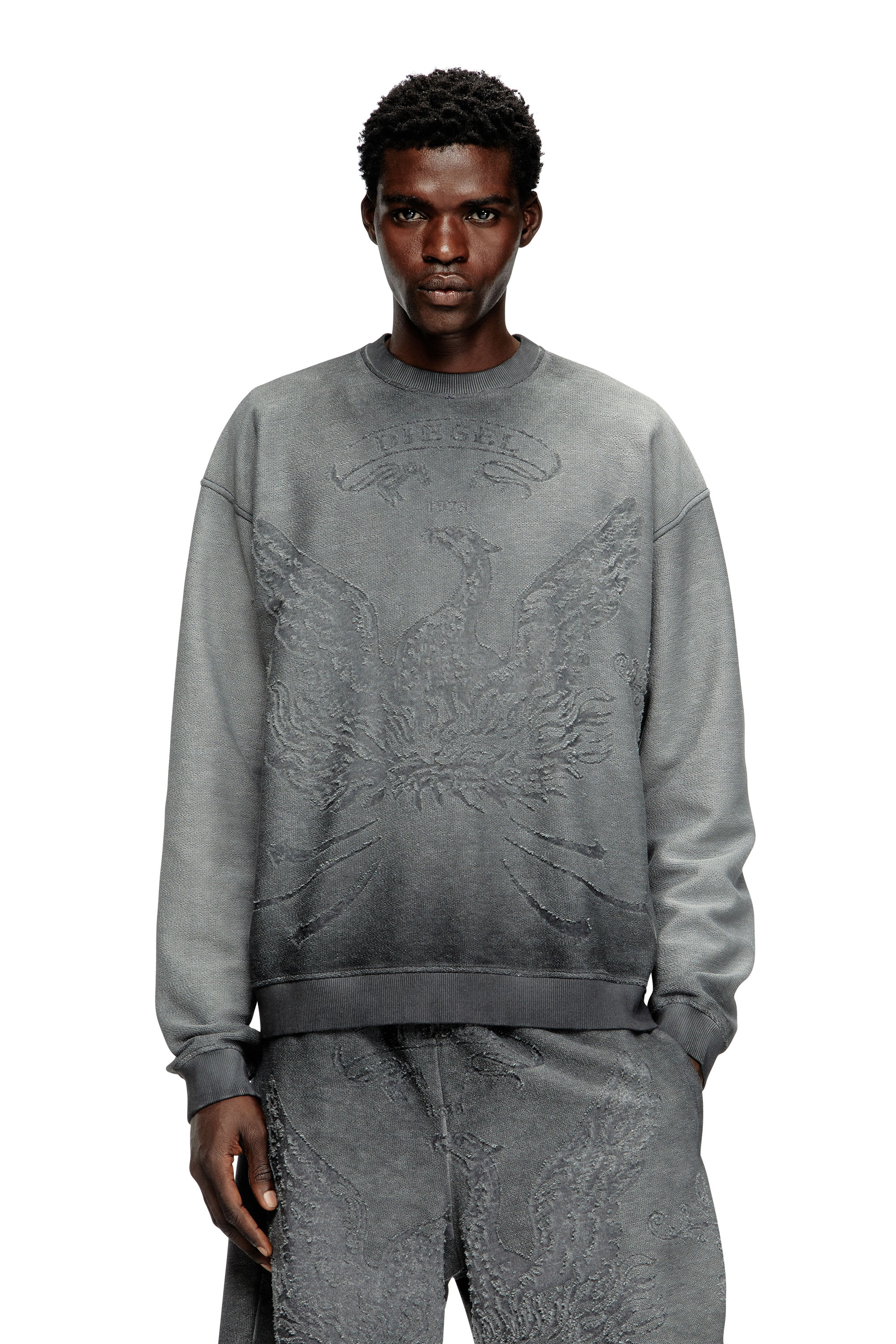 Diesel - S-ARON, Man's Faded sweatshirt with devor&eacute; Phoenix logo in Grey - 3