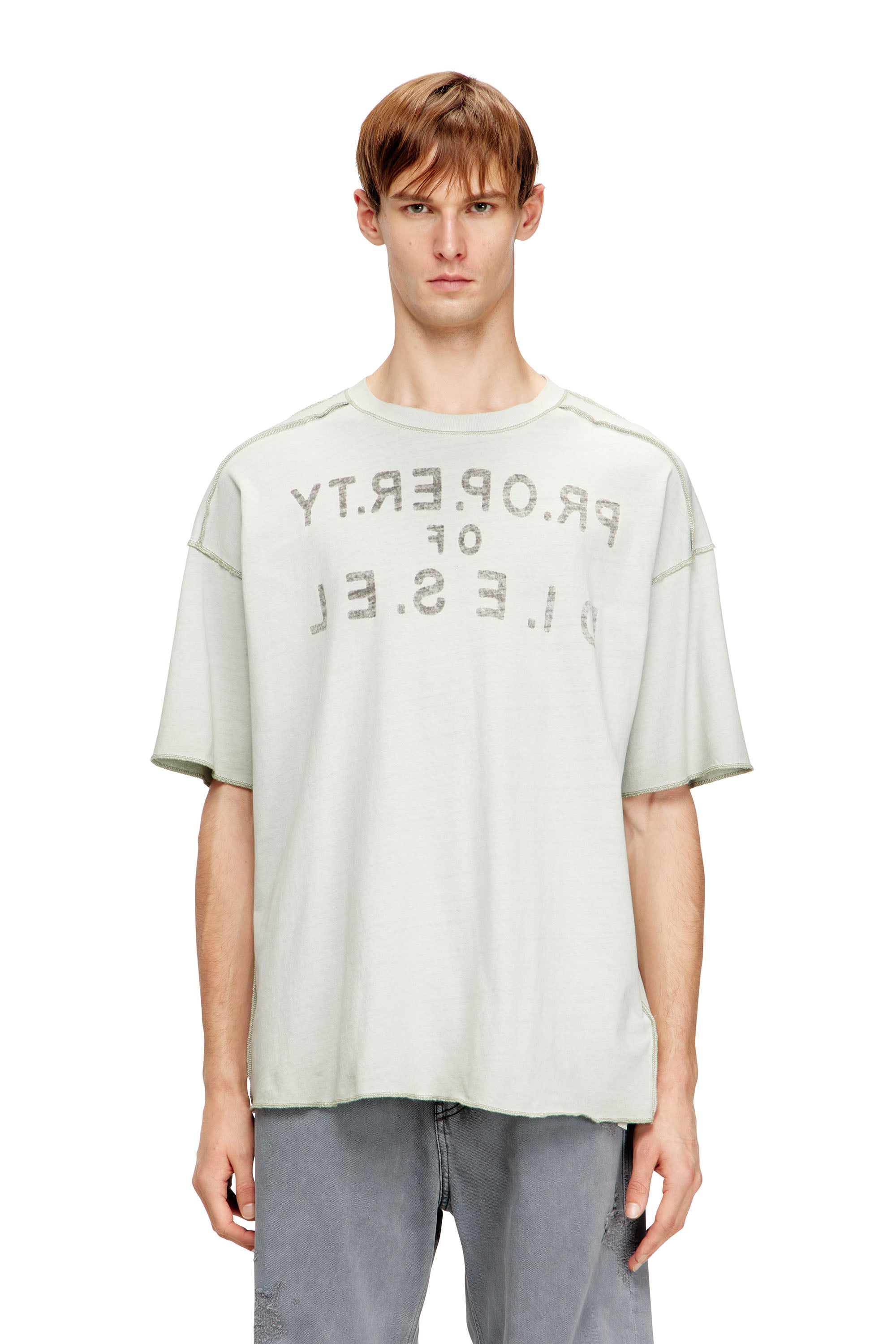 Diesel Herren Grau - Entspanntes Baumwoll-T-Shirt Mit Print Vorne Und Hinten - T-Shirts 3XL
